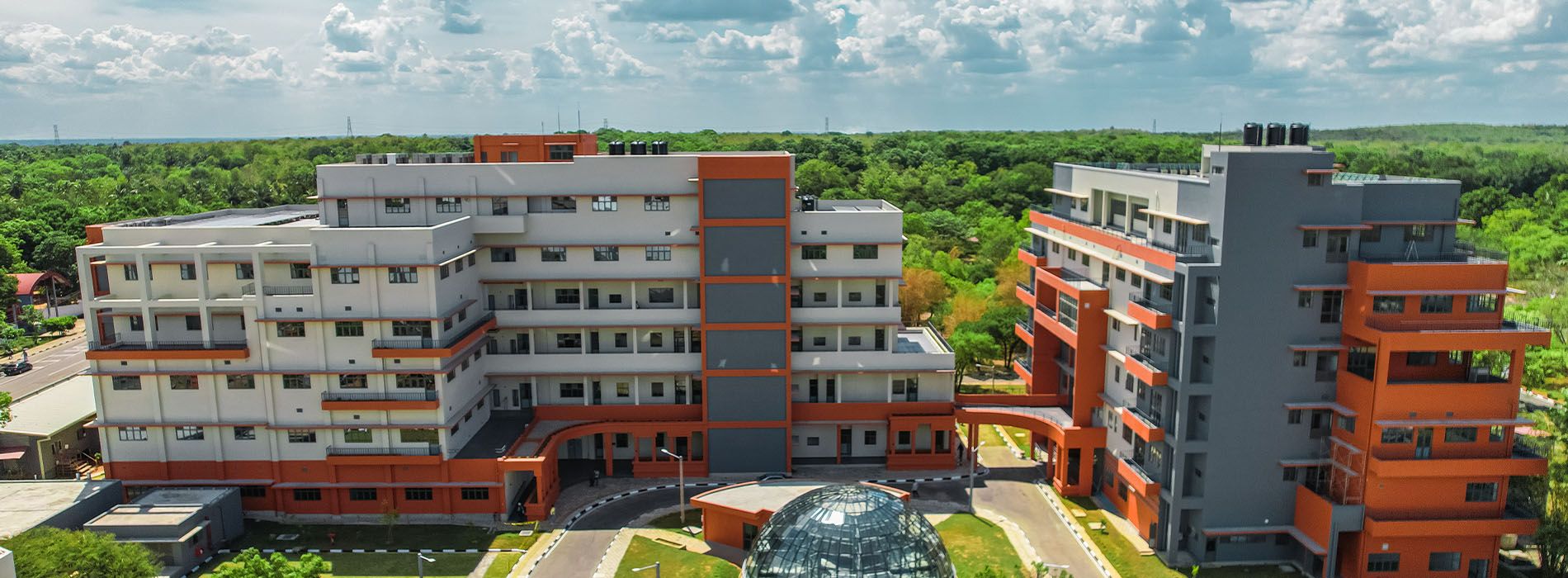 project section image