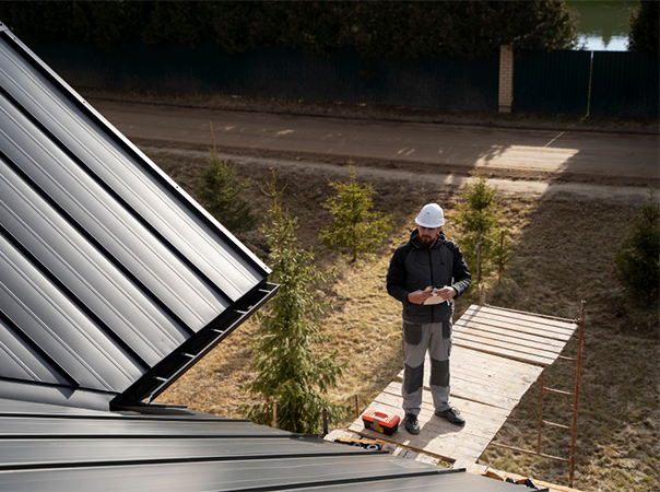 Sustainability and Eco-Friendliness